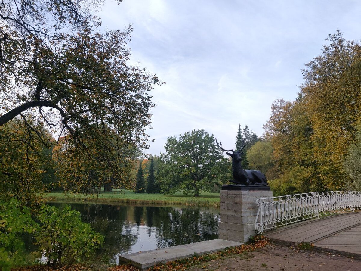 Олений мост. Фото автора