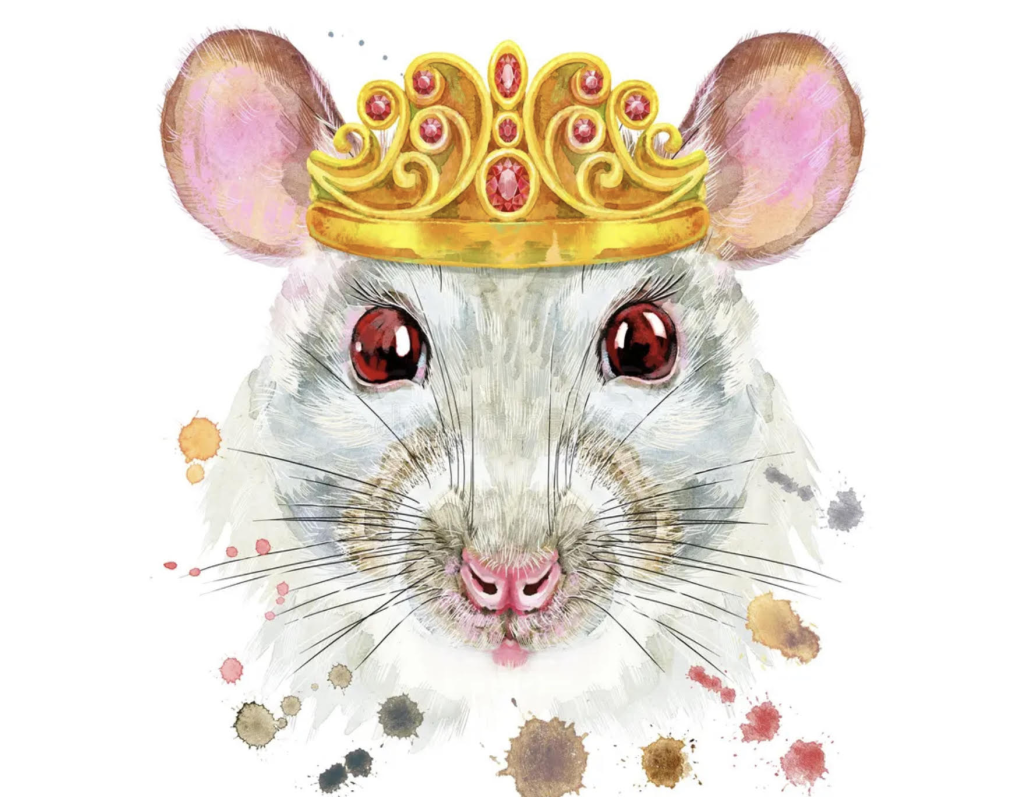 Источник: https://stylishbag.ru/2-kartinki/kartinka-krysa-s-koronoj.html
