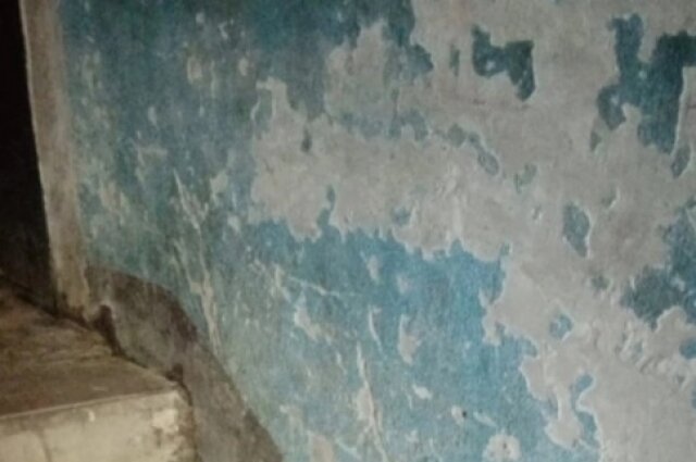    Стены в подъезде дома №43а на проспекте Ленина. Фото: Из личного архивa/ Михаил Страхов