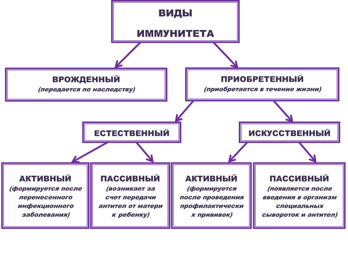 Наличие активный. Виды иммунитета схема. Иммунитет врожденный и приобретенный схема. Виды иммунитета схема 8 класс. Классификация видов иммунитета.