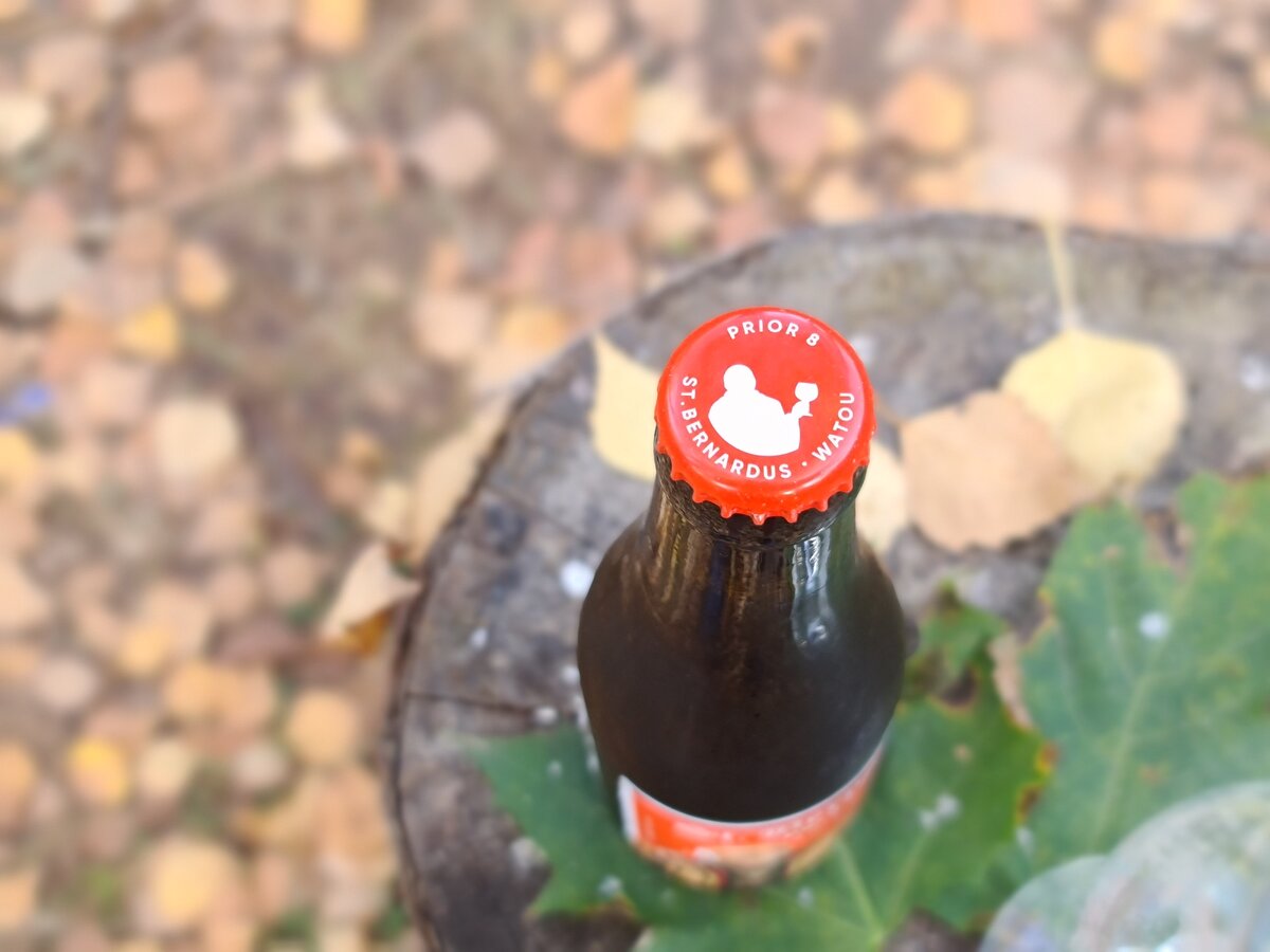 St. Bernardus Prior 8, фото автора