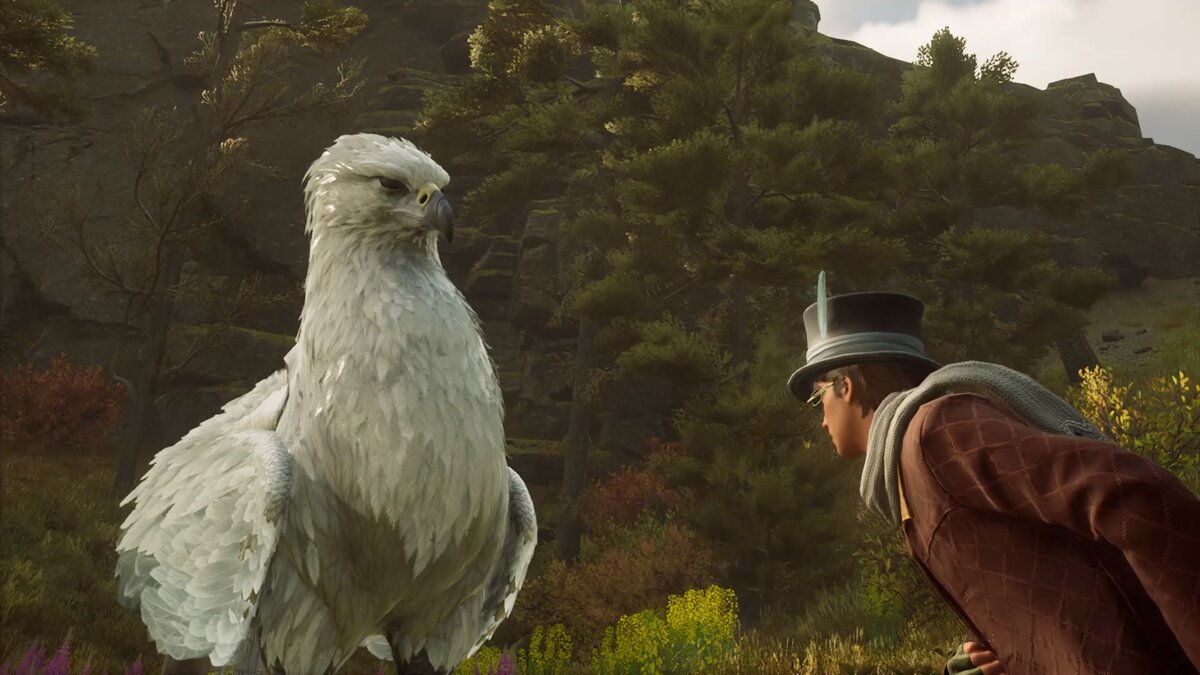 Где-то мы это уже видели)