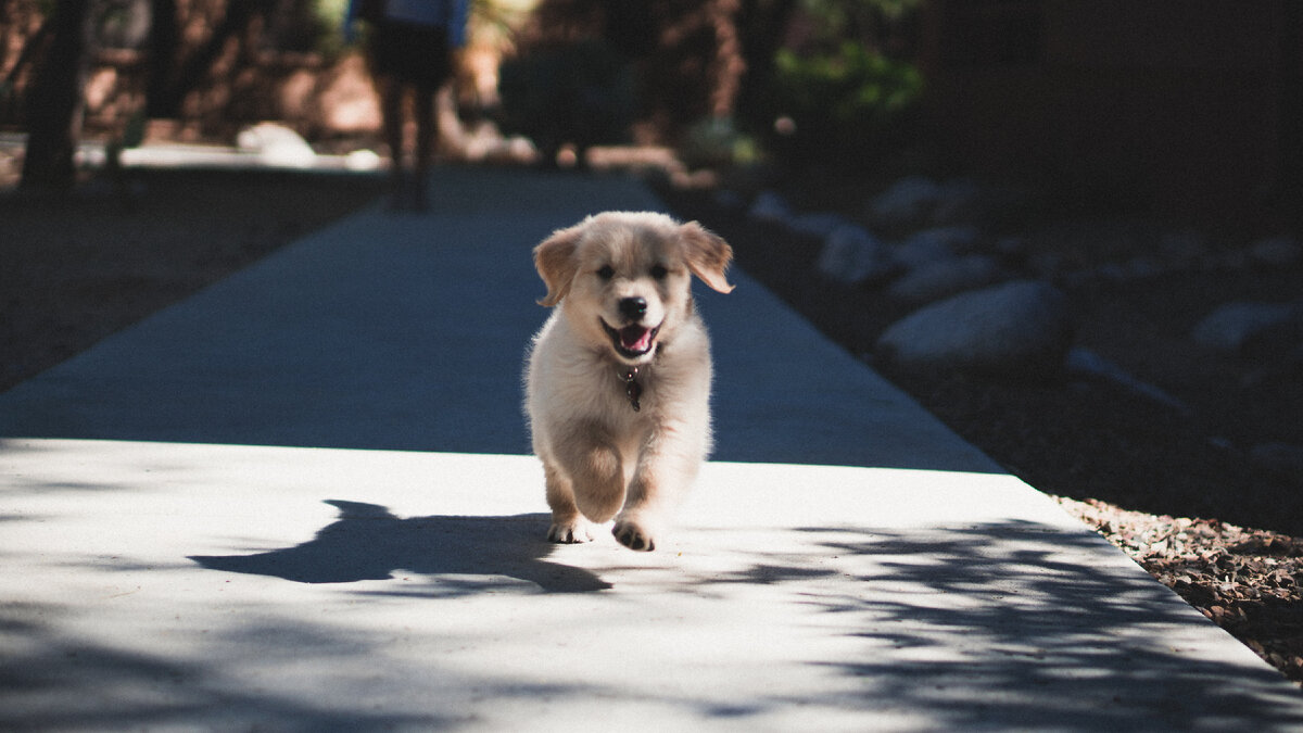 unsplash.com