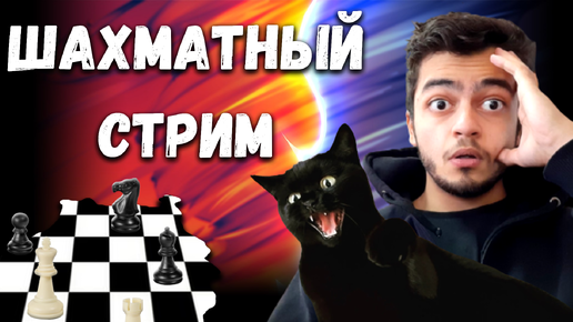 Шахматный стрим, играю в шахматы онлайн №1