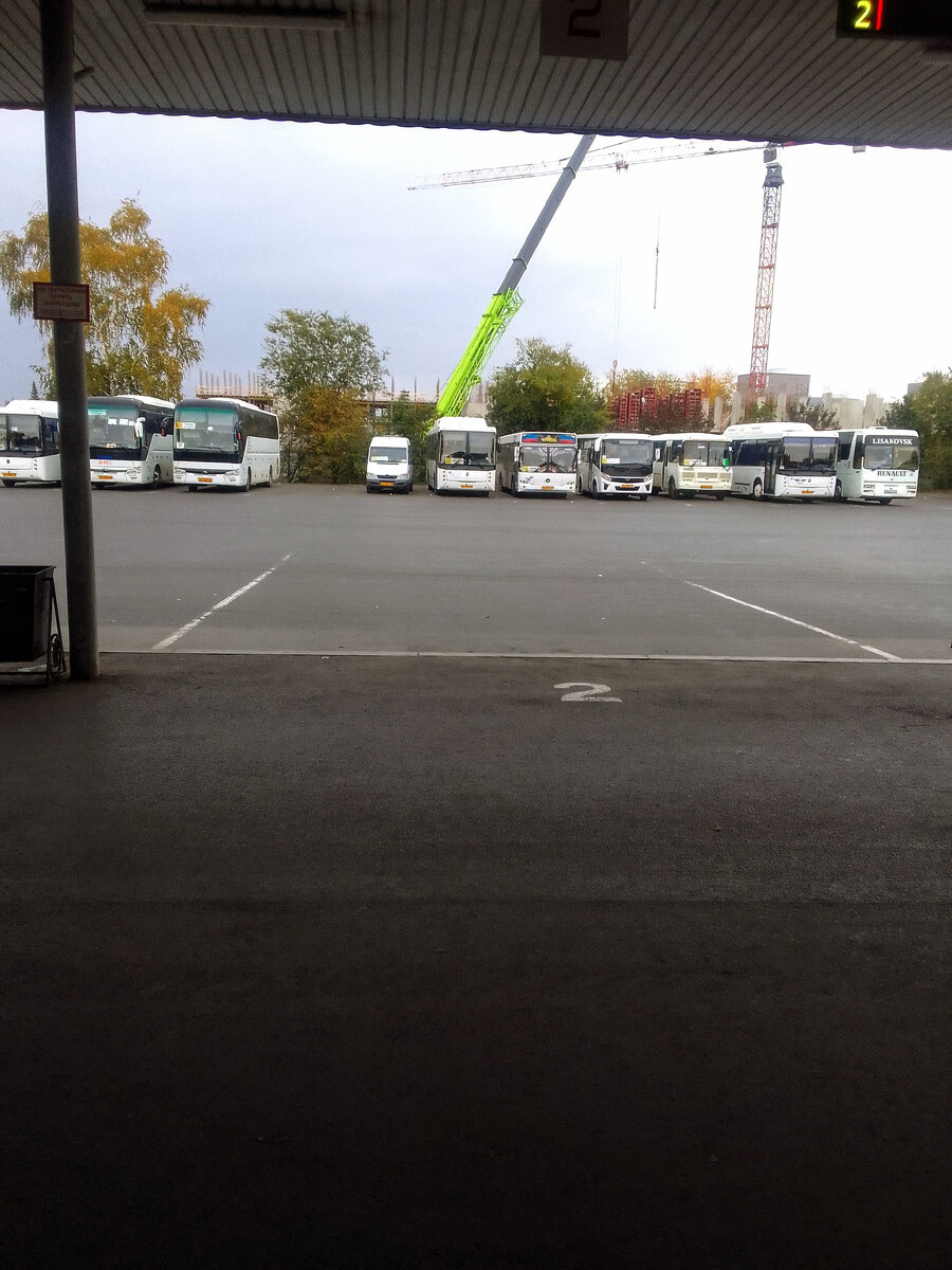 Сижу жду автобус