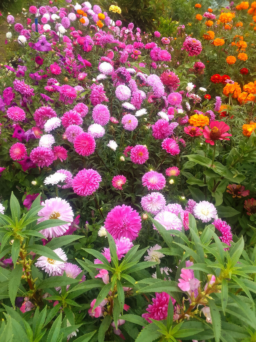 Это вам просто для красоты и хорошего пятничного настроения