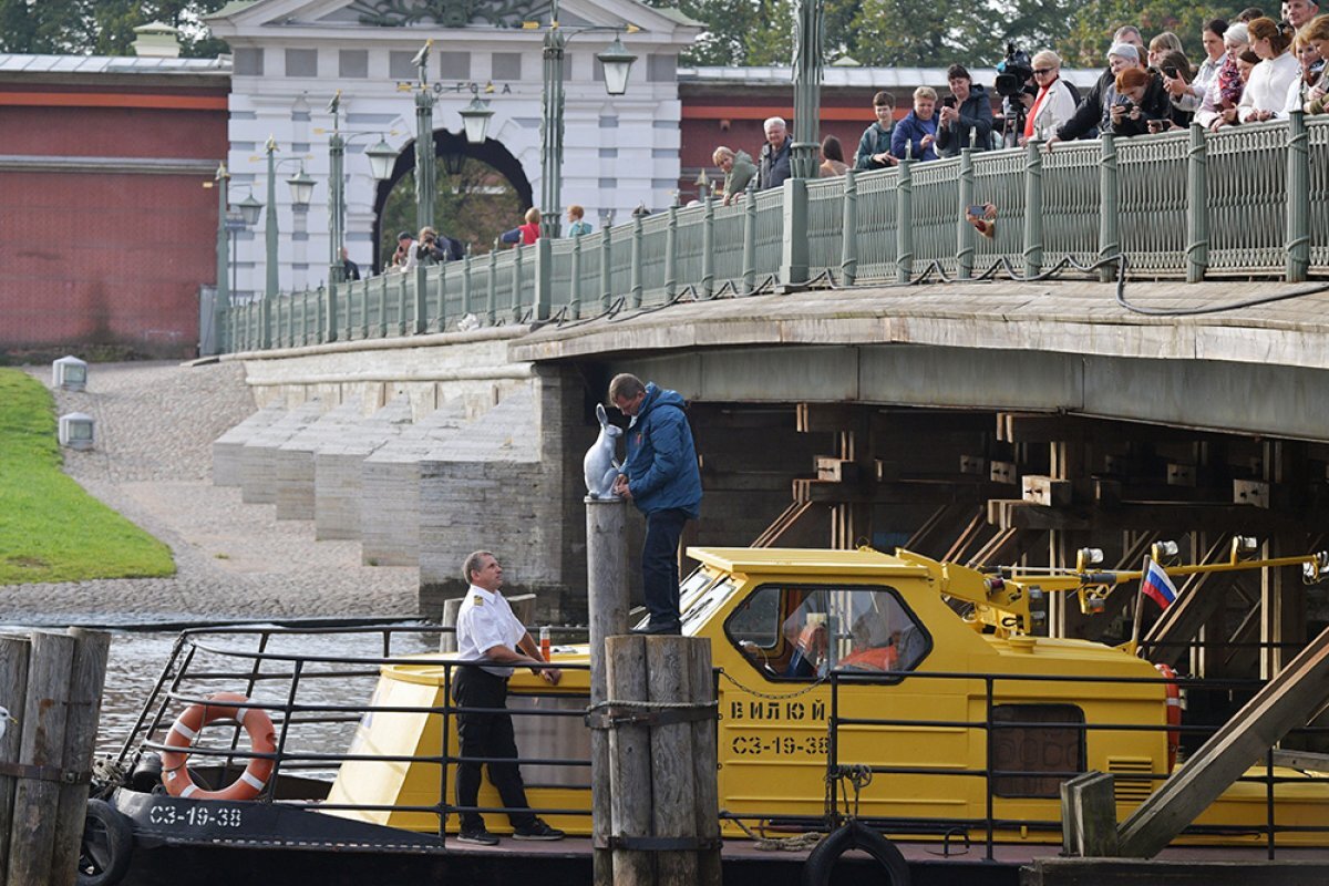    В Петербурге вернули к Петропавловской крепости зайца Арсения