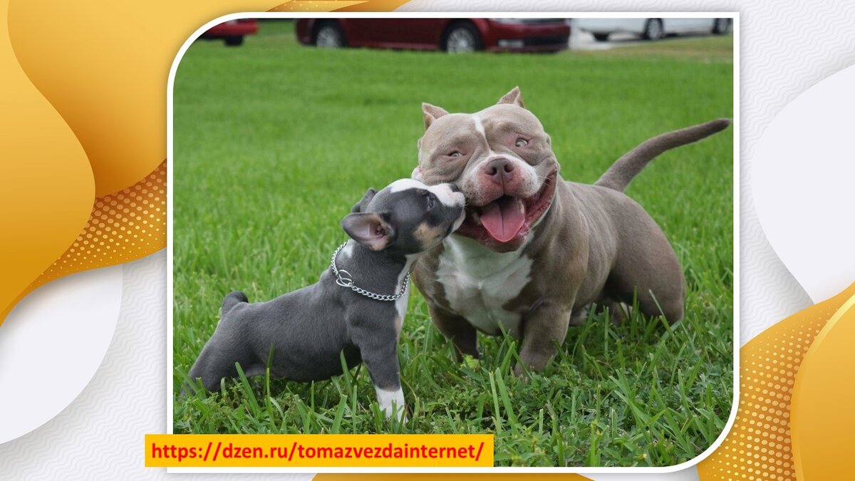 Из открытых источников