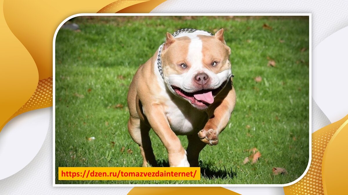 Из открытых источников