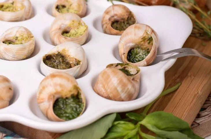    Как крупная улиточная ферма в Подмосковье готовится к зимовке