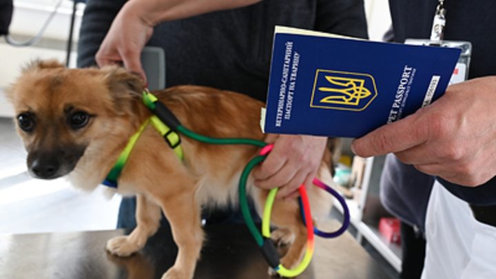 ФОТО: ARNE DEDERT/GLOBALLOOKPRESS 