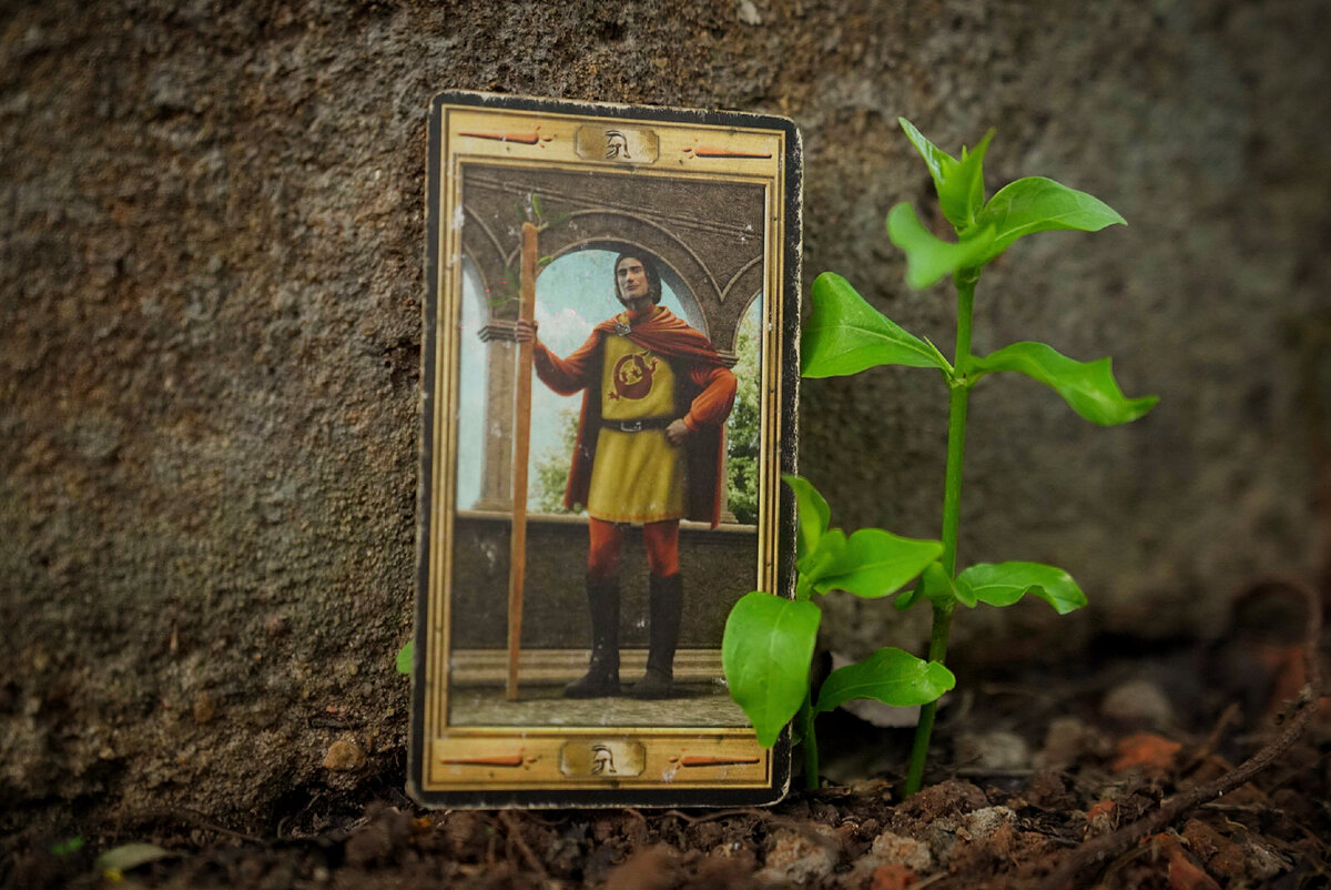 Фото автора