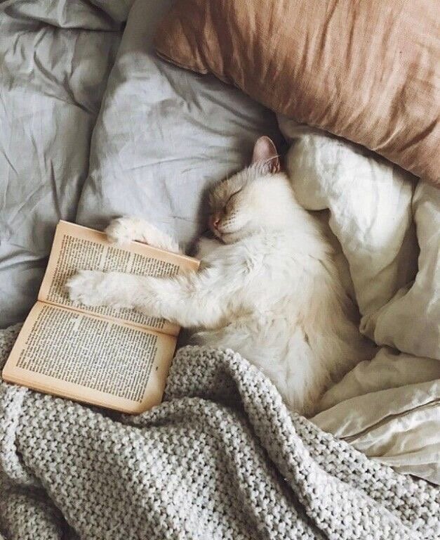 Фото взято из Pinterest