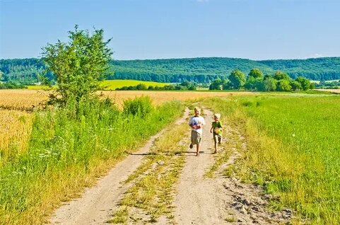 Картинка из источника в свободном доступе