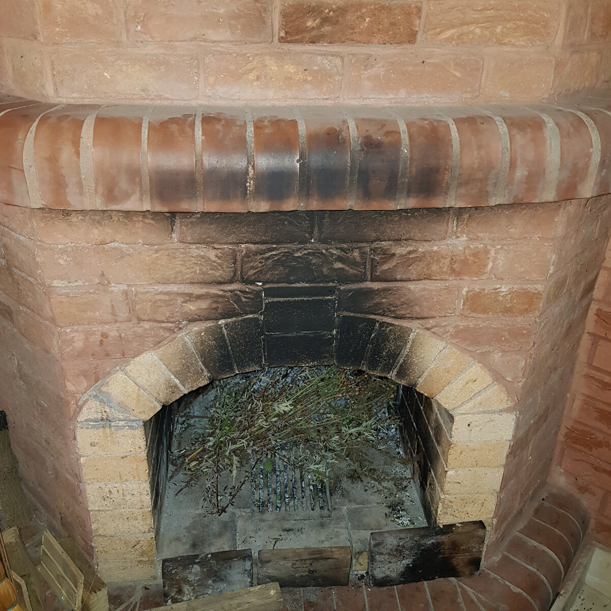 "Мендельсон". Фото автора