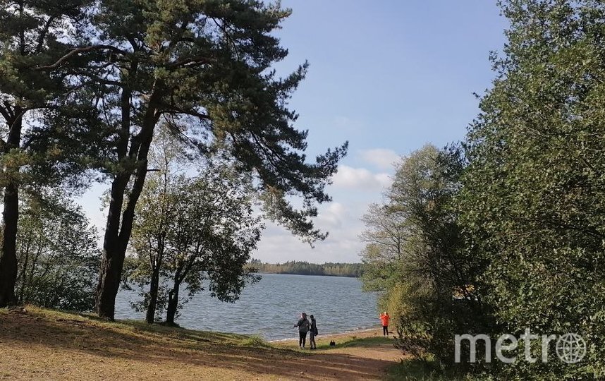    Фото: Евгения Елисеева.