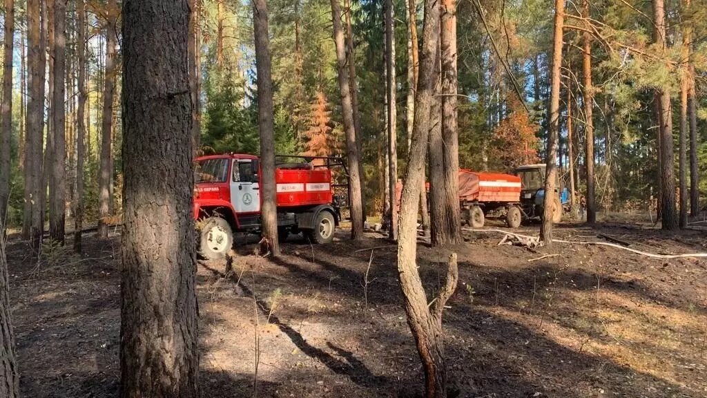     На ликвидацию пожара на закрытом мусорном полигоне в Можге направили дополнительные силы. Из-за нерадивости подрядчика в ГКБ №1 в Ижевске появились очереди по 40 человек. В отравлении рек Можгинского района оказалось виновным МУП ЖКХ. Udm-Info подводит итоги пятницы, 29 сентября.