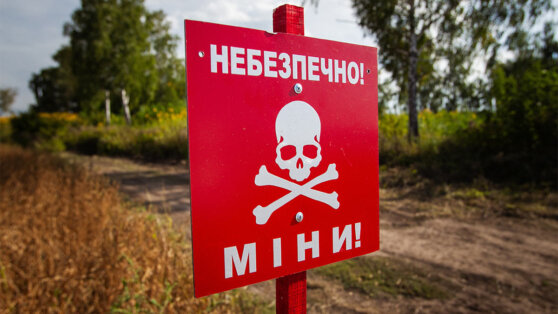    Швейцария выделила на разминирование на Украине около 0 миллионов Иван Обухов