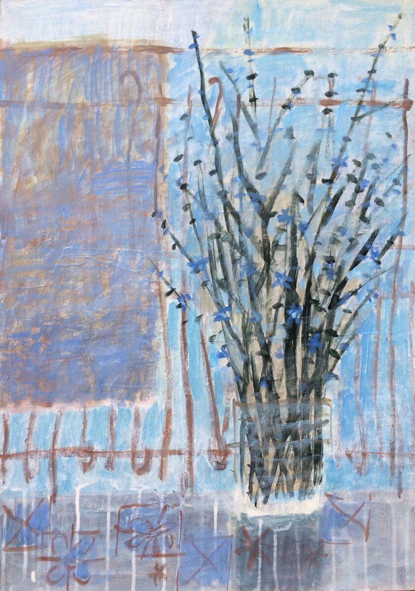 Цикорий на балконе. Елена Тарутина