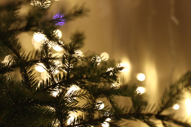    Фото: Baltphoto / Вероника Овсянникова