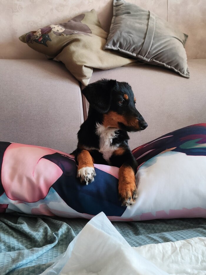 Листайте вправо, чтобы увидеть больше изображений