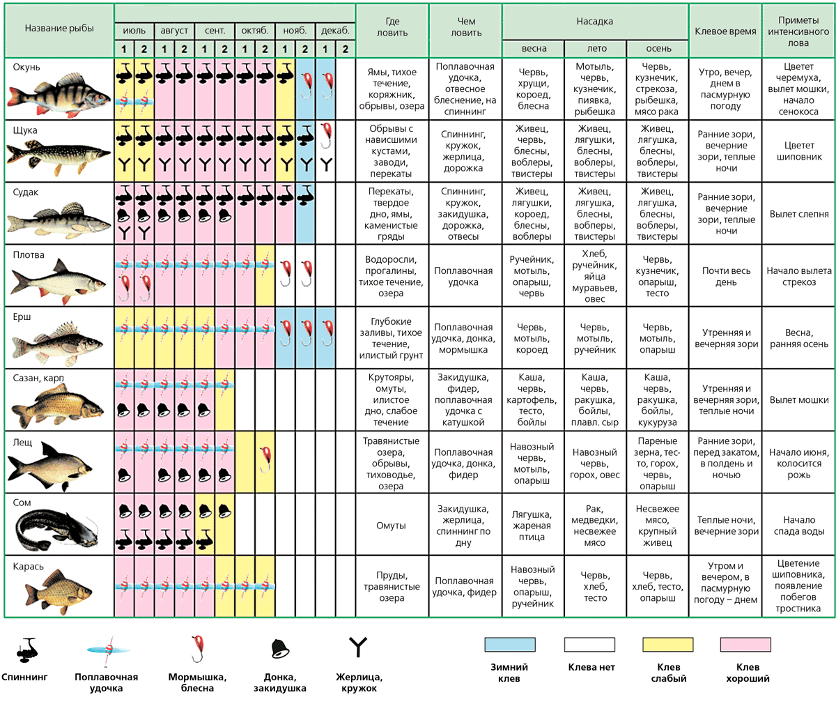 Карта клева рыбы. Календарь ловли голавля. Таблица вылова рыбы. Какую рыбу можно ловить в октябре. Норма ловли рыбы.