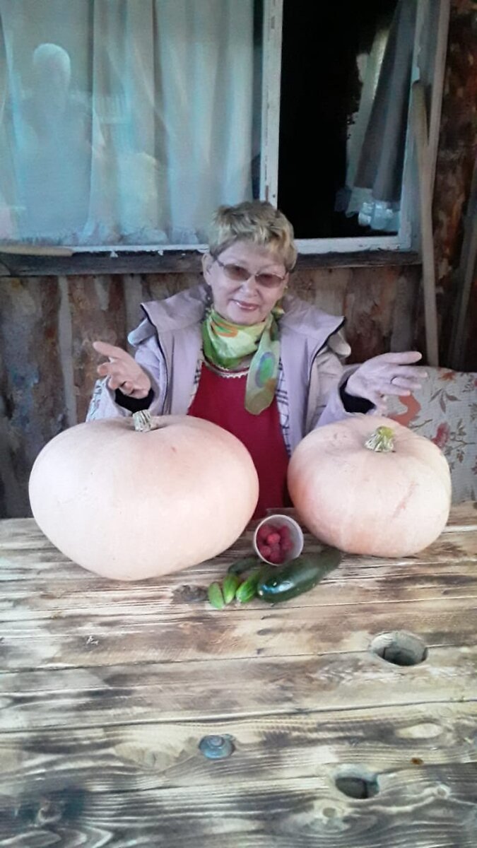 Красота!Кабачок, огурцы, малинка.