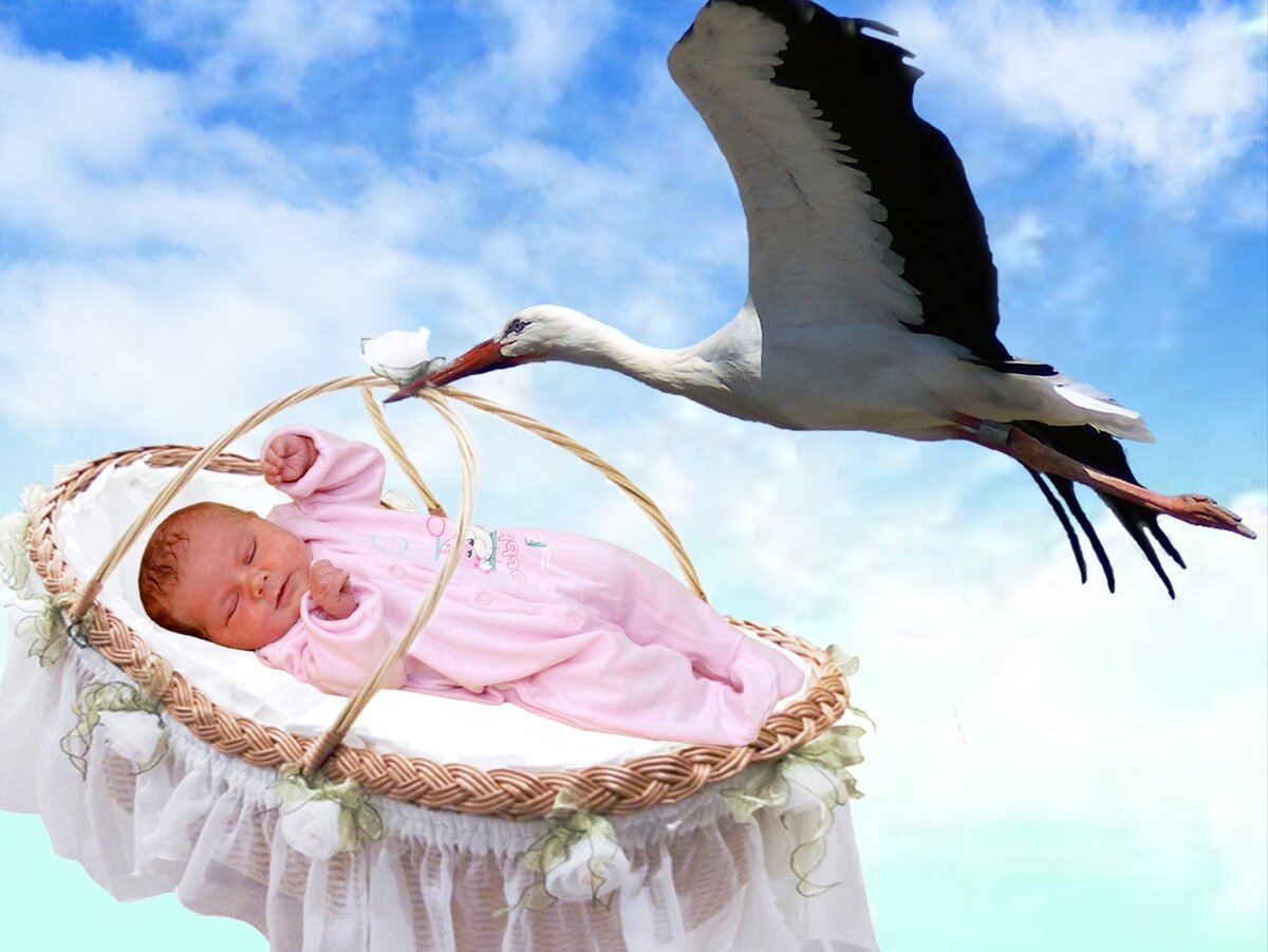 Я за правду матку, а не за всякую фигню про магазин, капусту и аистов. Источник фото: mykaleidoscope.ru