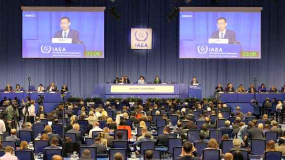    МИД России: новая резолюция МАГАТЭ содержит голословные обвинения в адрес Москвы Роман Захаров