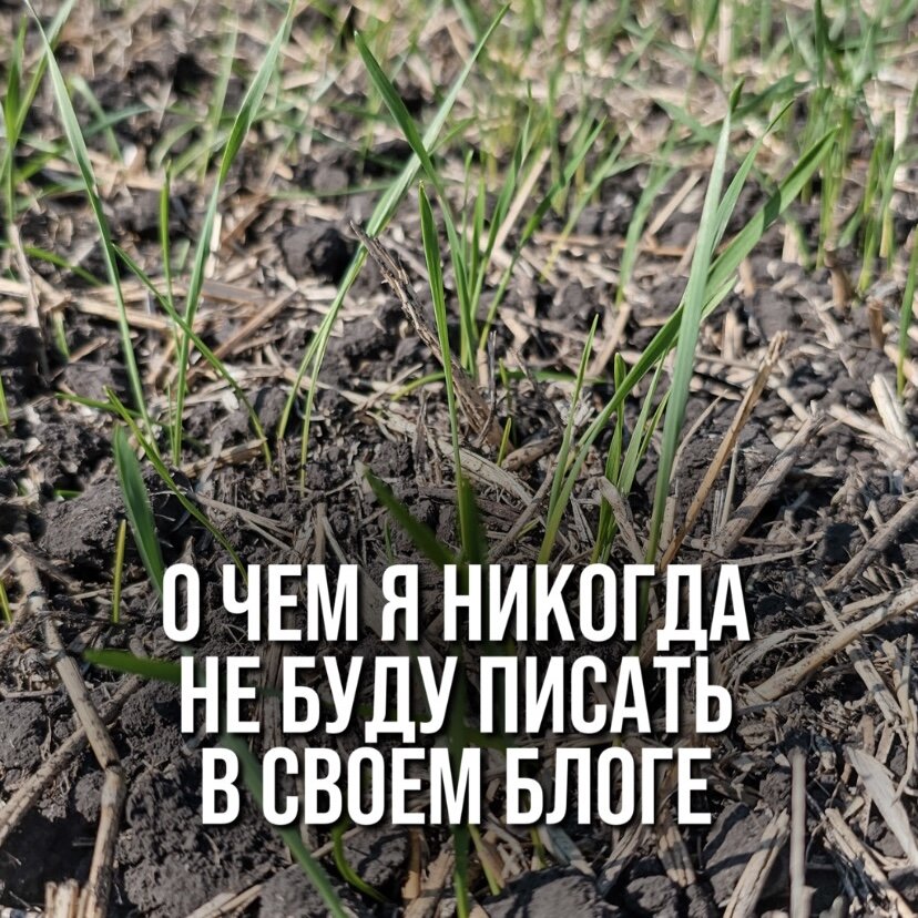 О ЧЕМ Я НИКОГДА НЕ БУДУ ПИСАТЬ В СВОЁМ БЛОГЕ
