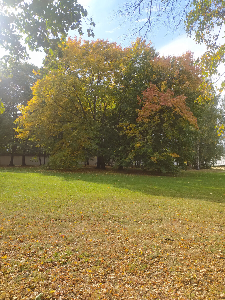 Коломенское 23.09.23