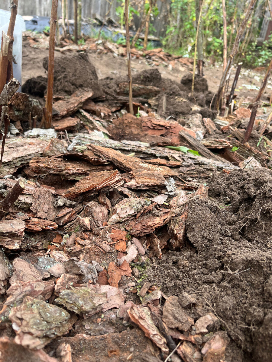 Сосновая кора.