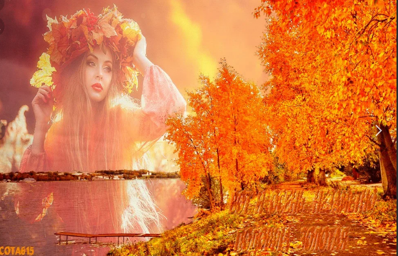 Из свободных источников яндекса