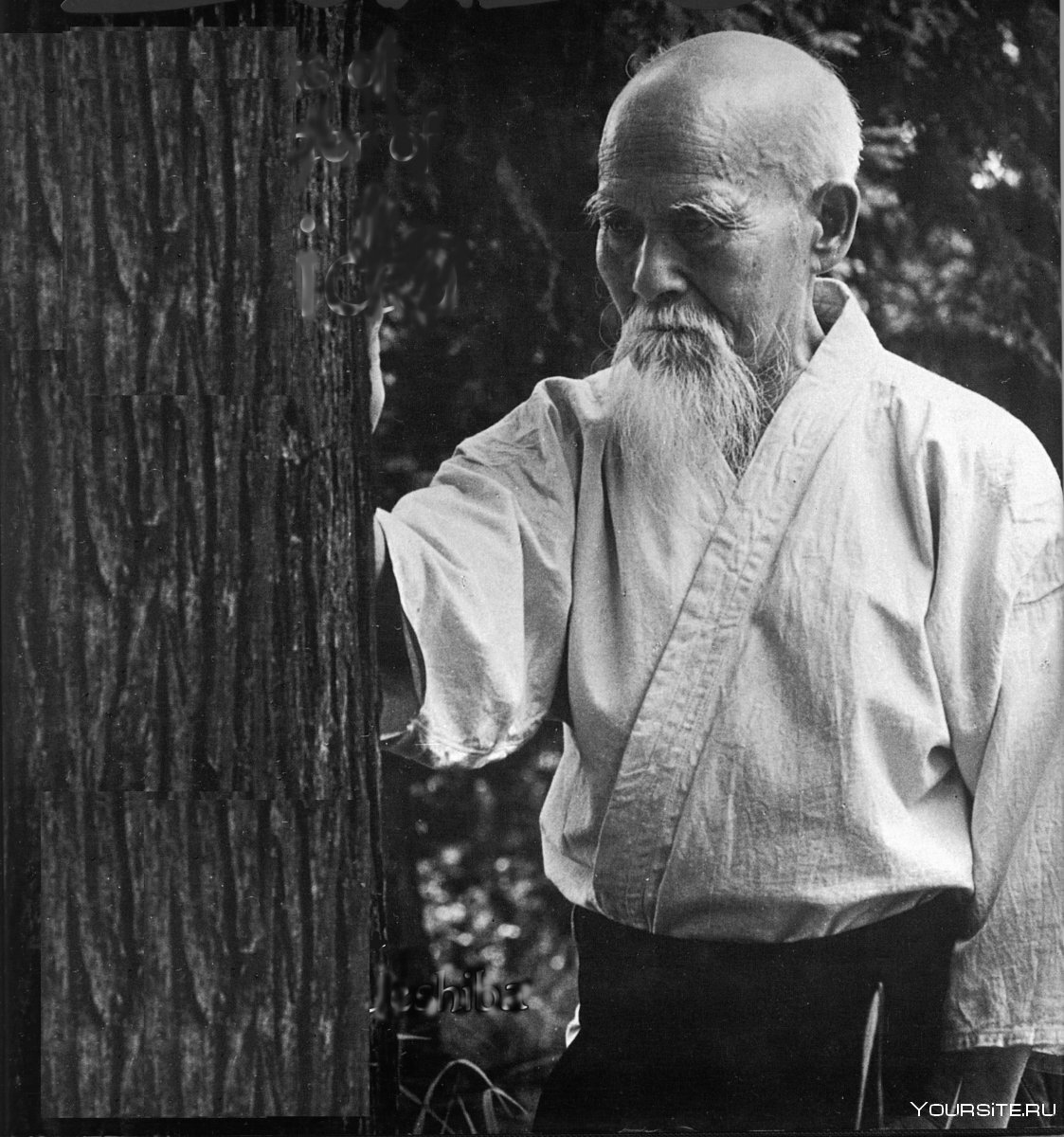 „Все законы неба и земли живут в тебе. Жизнь сама по себе есть истина, и это не изменится никогда. Всё сущее на небе и на земле дышит. Дыхание — это нить, связывающая всё мироздание воедино.“ — Морихэй Уэсиба.