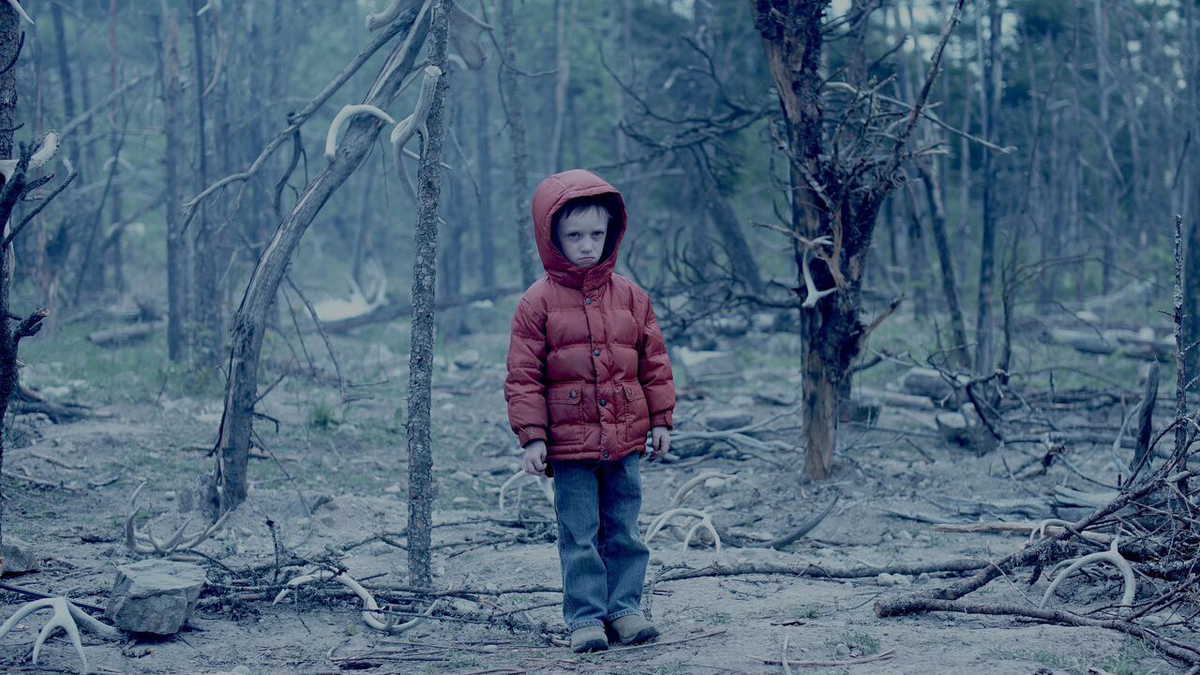 Мальчик потерялся в лесу. Паника в лесу. Про мальчика который потерялся в лесу. Поисковый отряд лиза алерт. Про мальчика который потерялся в лесу.