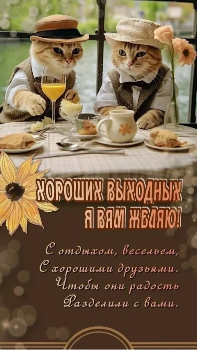 Картинка взята из интернета.