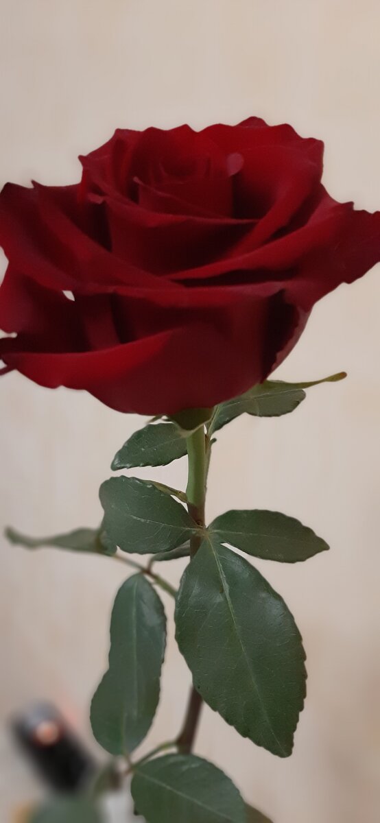 Фото из личного архива