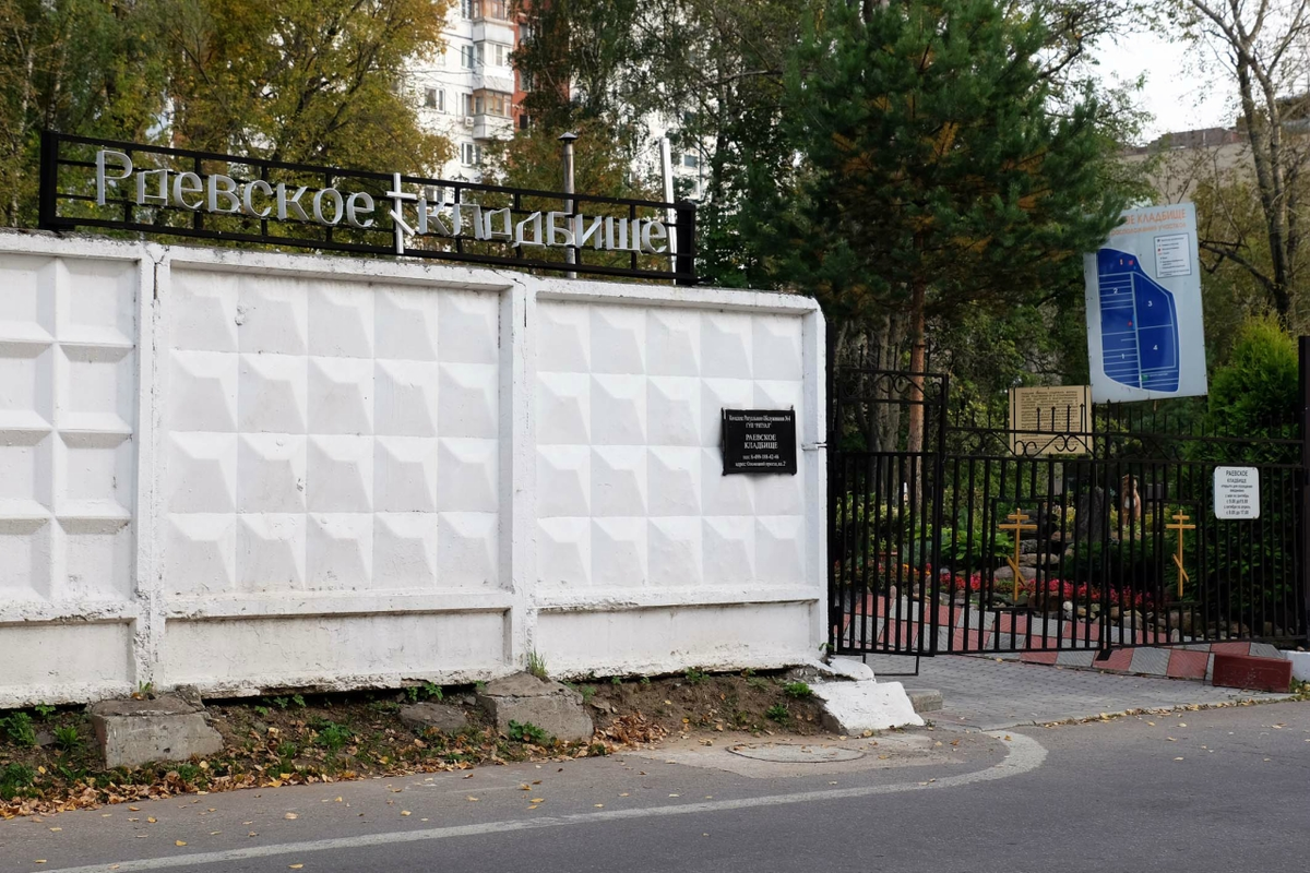 Фотография взята из источника yandex.ru