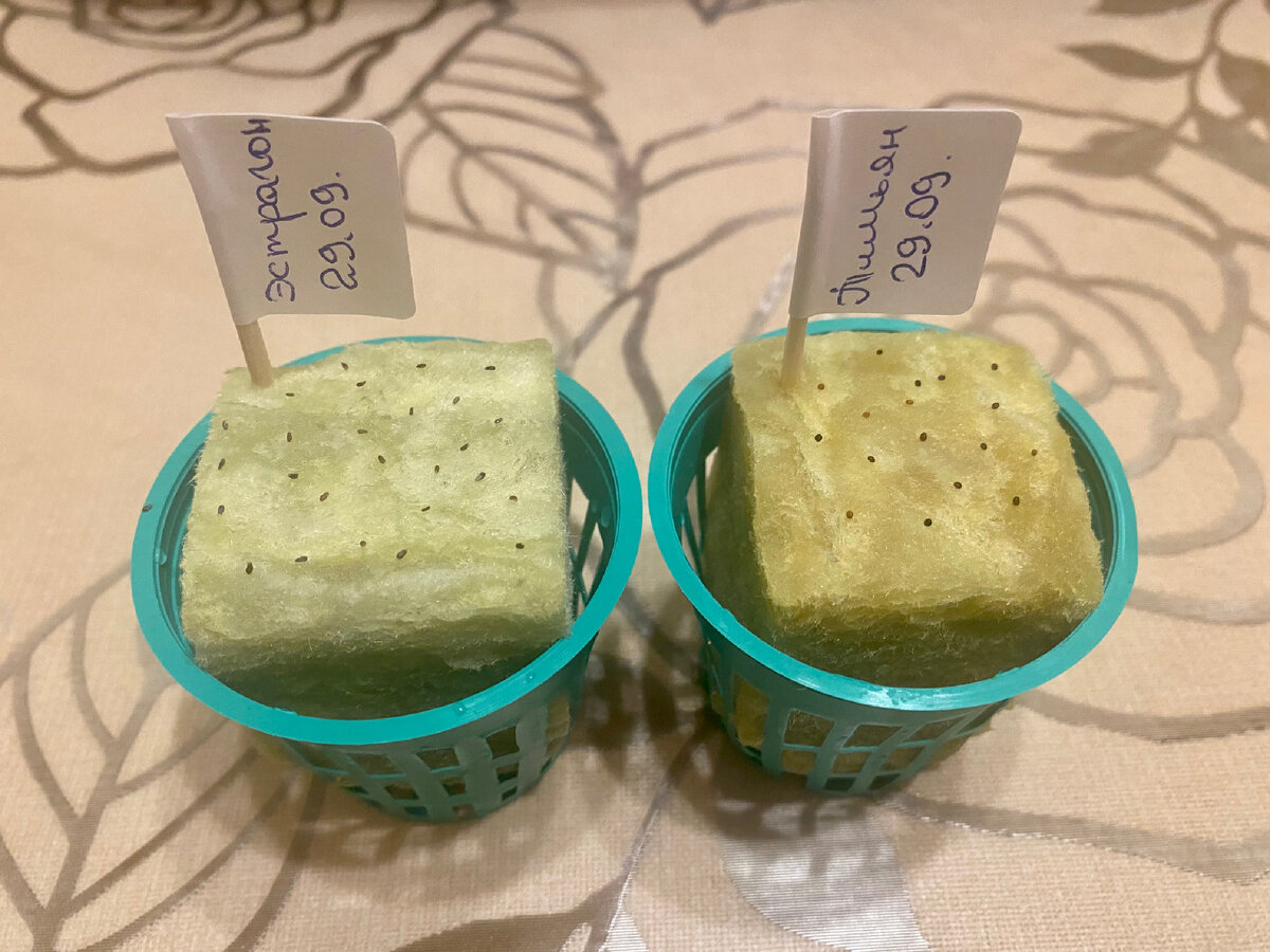 Эстрагон и тимьян.