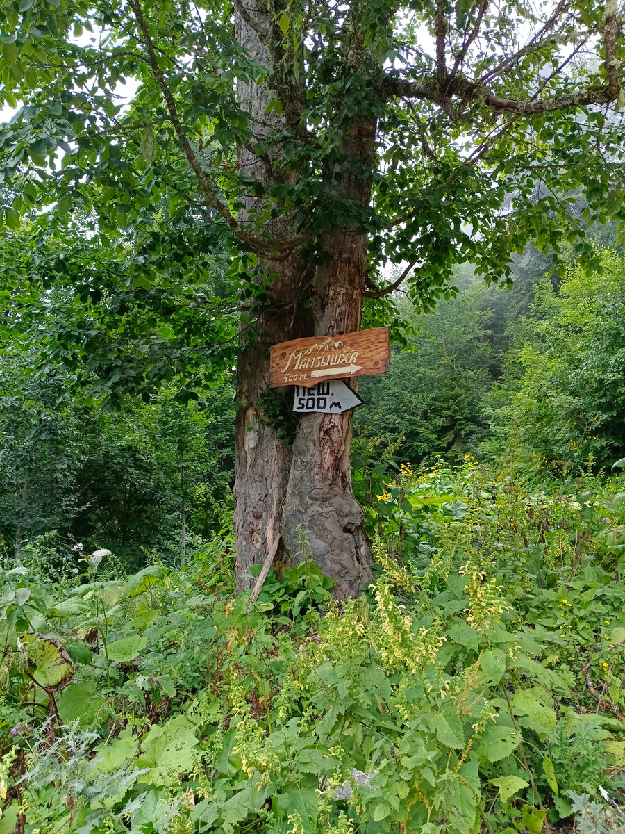 500 м. до вершины