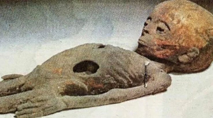 Мумия пришельца?
Источник фото: https://avilagtitkai.com/uploads/article/foldonkivuli-mumia-egyiptom-2-7f6f72c3e6.jpg