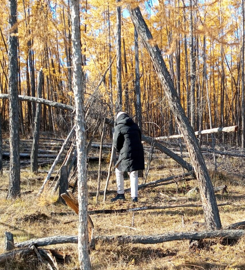 строительство шалаша. Что можно придумать, когда вокруг поваленные деревья? Идея пришла сразу: построить шалаш! Мои мальчишки оказались прекрасными строителями.  Подносили небольшие прутья быстро, я даже иногда не успевала. Работали слаженно....Фото автора.