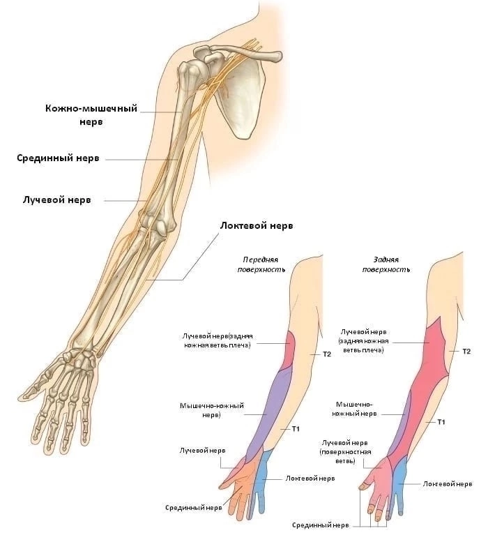 Неврит локтевого нерва