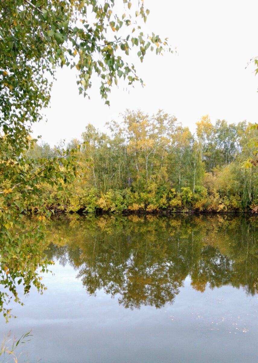 Берег реки Карасук