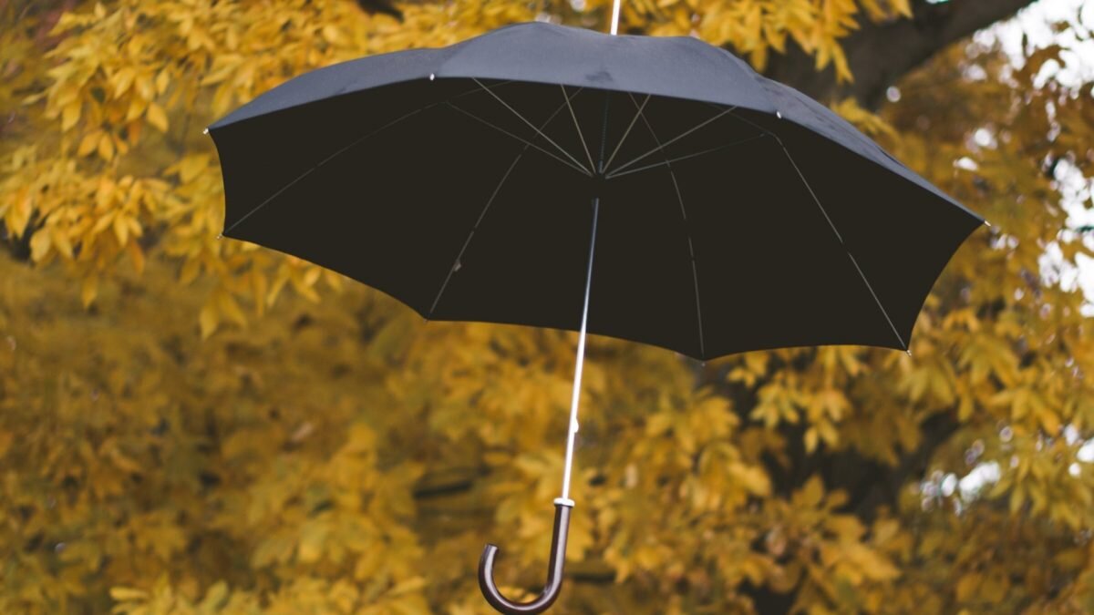    Фото: unsplash.com. Август Макаров