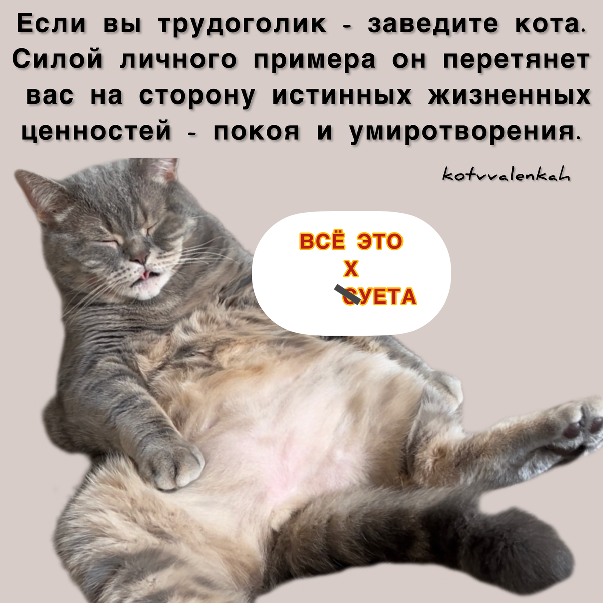 Мемы субботы, а мы такие загораем 😸 