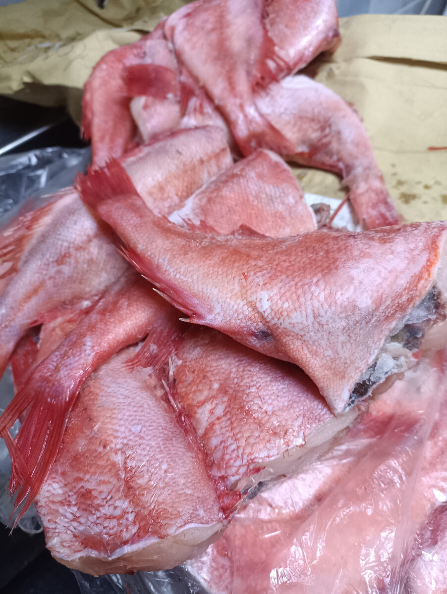 морской окунь