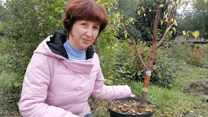 А руководить военно-садовой операцией будет Юлия БРОННИКОВА, начальник отдела интродукции декоративных растений закрытого грунта Забайкальского ботанического сада