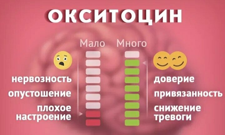 Гормоны счастья и уровень стресса