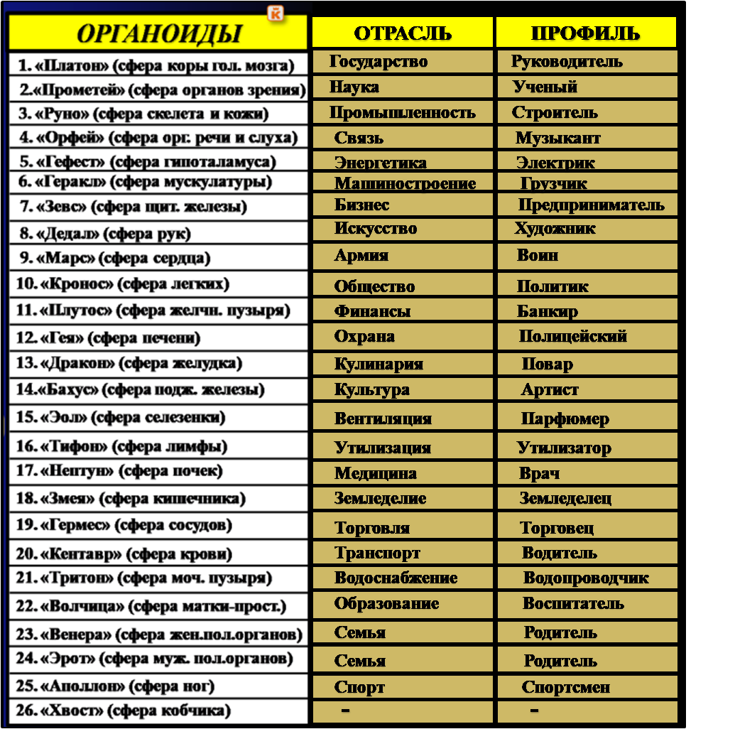 Список Органоидов, увязанный с Отраслями и Профилями социального уровня. Автор идеи: ВОВАН КАХОР. 30.09.2023.